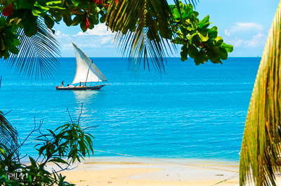 Pilart references boat and beach Zanzibar Afrika